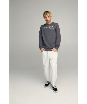 Свитшот мужской BASIC /no flis/