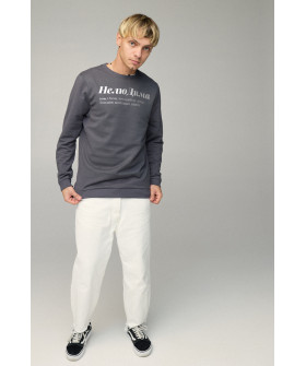 Свитшот мужской BASIC /no flis/