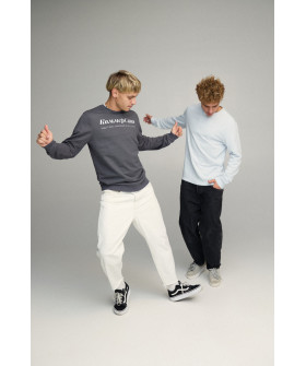 Свитшот мужской BASIC /no flis/