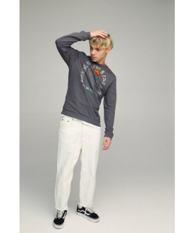 Свитшот мужской BASIC /no flis/