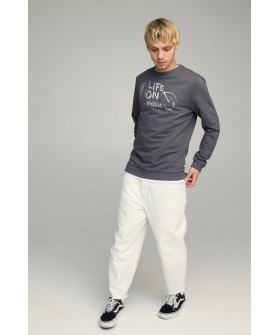 Світшот чоловічий BASIC /no flis/