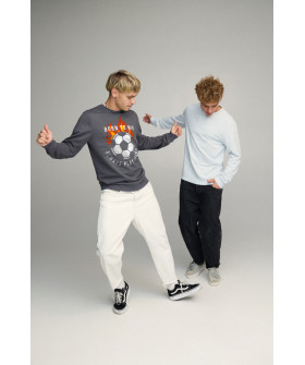 Світшот чоловічий BASIC /no flis/