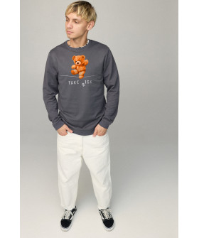 Свитшот мужской BASIC /no flis/