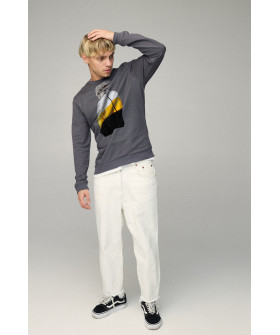 Свитшот мужской BASIC /no flis/