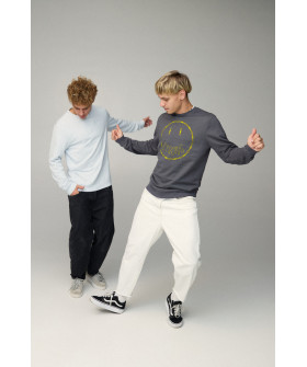 Світшот чоловічий BASIC /no flis/