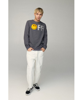 Свитшот мужской BASIC /no flis/