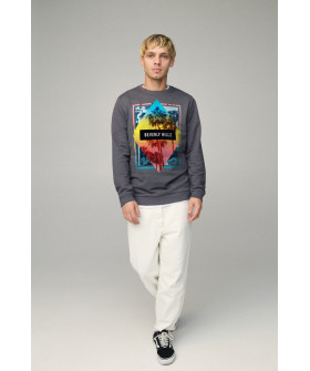 Свитшот мужской BASIC /no flis/