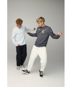 Світшот чоловічий BASIC /no flis/