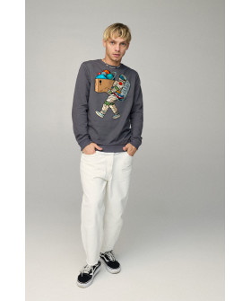 Світшот чоловічий BASIC /no flis/