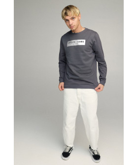 Свитшот мужской BASIC /no flis/