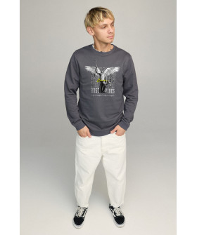 Свитшот мужской BASIC /no flis/