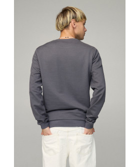 Світшот чоловічий BASIC /no flis/