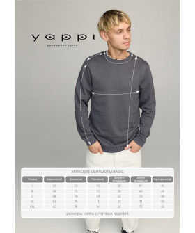 Світшот чоловічий BASIC /no flis/