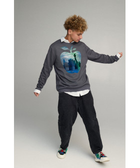 Світшот чоловічий OVERSIZE /no flis/