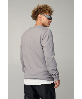 Свитшот мужской BASIC /no flis/