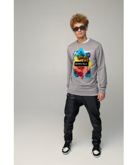 Світшот чоловічий BASIC /no flis/