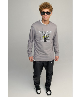 Свитшот мужской BASIC /no flis/