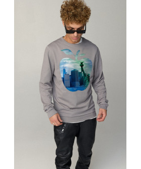 Men's sweatshirt BASIC /no flis/