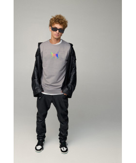 Свитшот мужской BASIC /no flis/