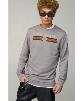 Men's sweatshirt BASIC /no flis/