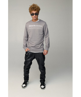 Свитшот мужской BASIC /no flis/