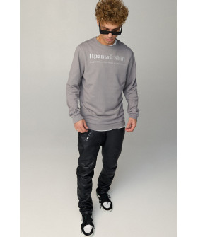 Світшот чоловічий BASIC /no flis/