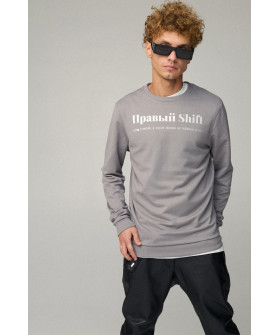 Men's sweatshirt BASIC /no flis/