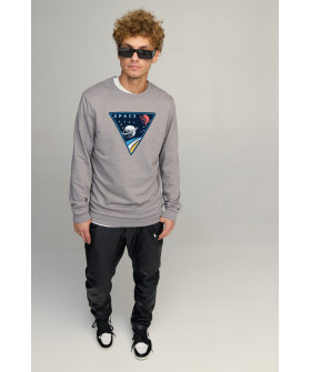 Свитшот мужской BASIC /no flis/