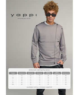 Свитшот мужской BASIC /no flis/