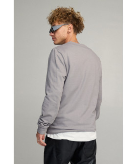 Свитшот мужской BASIC /no flis/