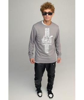 Світшот чоловічий BASIC /no flis/