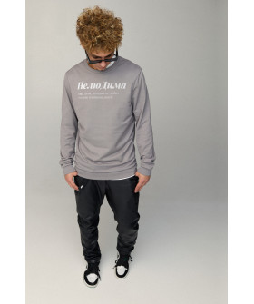 Свитшот мужской BASIC /no flis/