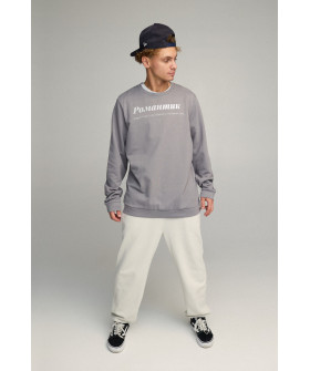 Світшот чоловічий OVERSIZE /no flis/