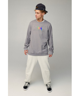 Світшот чоловічий OVERSIZE /no flis/