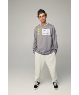 Світшот чоловічий OVERSIZE /no flis/