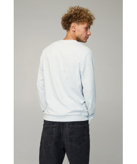 Світшот чоловічий BASIC /no flis/