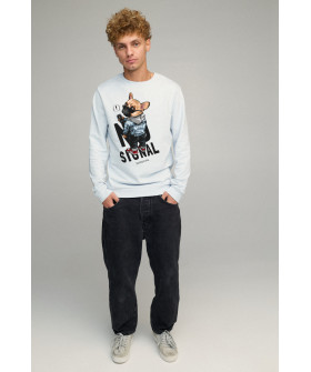 Світшот чоловічий BASIC /no flis/