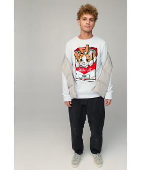 Свитшот мужской BASIC /no flis/