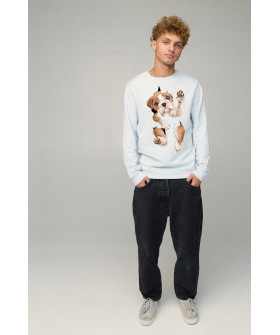 Світшот чоловічий BASIC /no flis/