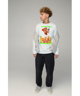 Світшот чоловічий BASIC /no flis/