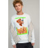 Men's sweatshirt BASIC /no flis/