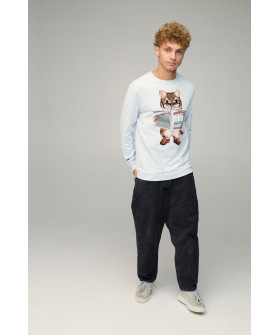 Світшот чоловічий BASIC /no flis/