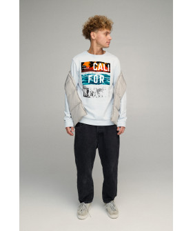 Світшот чоловічий BASIC /no flis/