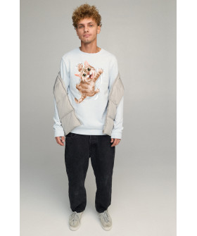 Світшот чоловічий BASIC /no flis/