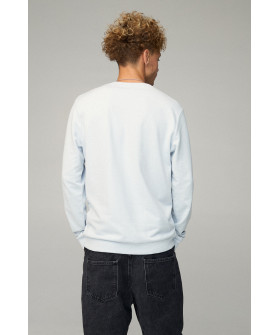 Свитшот мужской BASIC /no flis/