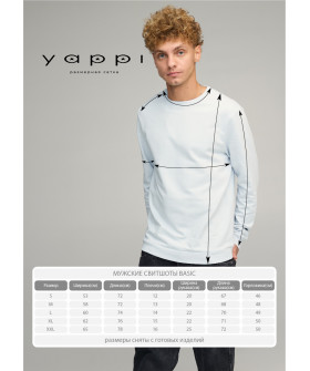 Свитшот мужской BASIC /no flis/