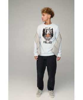 Свитшот мужской BASIC /no flis/