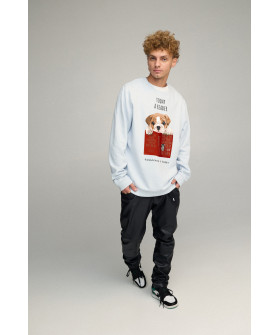 Світшот чоловічий OVERSIZE /no flis/