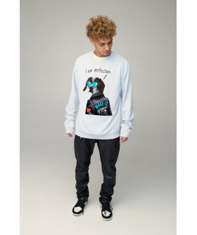 Свитшот мужской OVERSIZE /no flis/