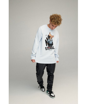 Світшот чоловічий OVERSIZE /no flis/